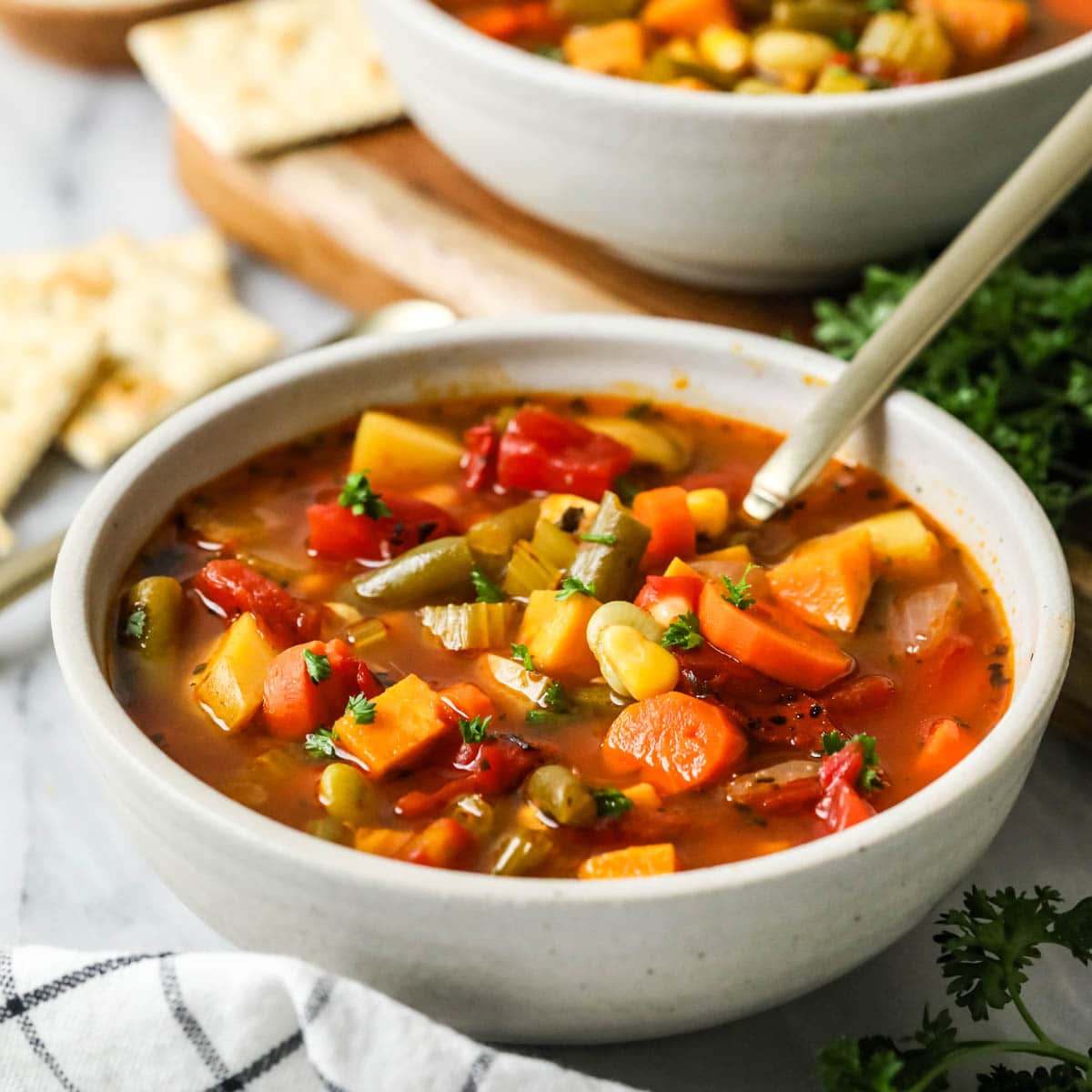 Vegetable Soup